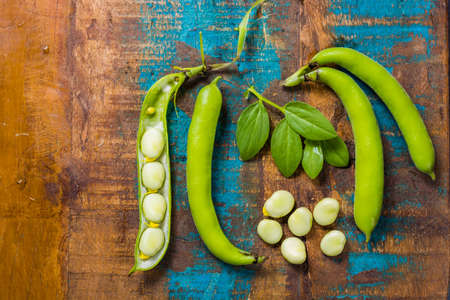 Healthy fresh legumes, new harvest on broad lima white big beansの写真素材