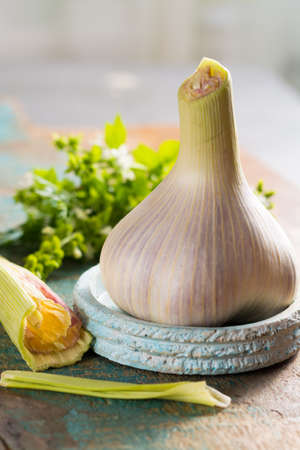One big fresh garlic bulb, close upの写真素材