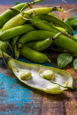 Healthy fresh legumes, new harvest on broad lima white big beansの写真素材
