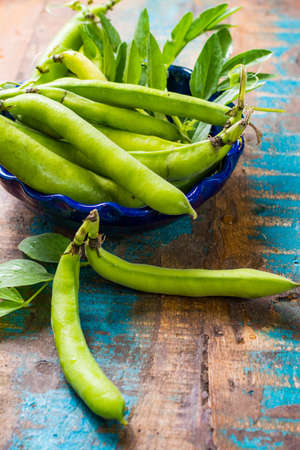 Healthy fresh legumes, new harvest on broad lima white big beansの写真素材