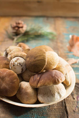 Tasty food - fresh porcini boletus oak muchrooms, high quality, ready to cook with rice, potatoes and in soupの写真素材