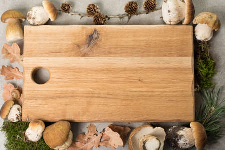 Autumn dinner concept - cutting board with copy space - fresh porcini boletus oak muchrooms, high quality,restaurant menu, a la carteの写真素材