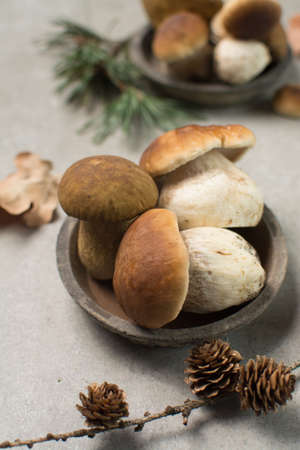 Tasty food - fresh porcini boletus oak muchrooms, high quality, ready to cook with rice, potatoes and in soupの写真素材