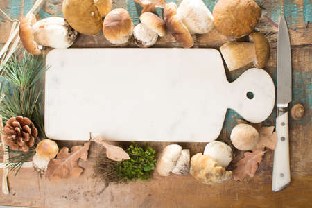 Autumn dinner concept - cutting board with copy space - fresh porcini boletus oak muchrooms, high quality,restaurant menu, a la carteの写真素材
