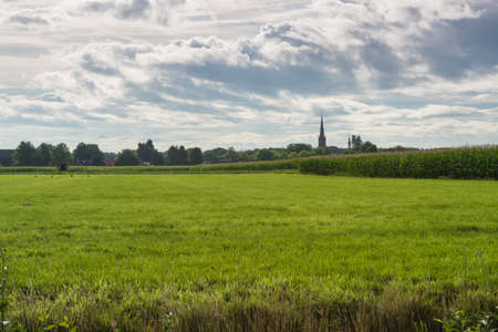 Dutch farmland, landscape with old church tower and green corn fieldsの写真素材