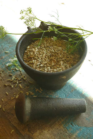 Cumin seeds in old indian cast iron mortarの写真素材