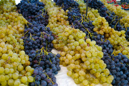 White muscat grape and dark grape - sweet and tasty dessert, healthy fruit from south vineyards of Provence on the marketの写真素材
