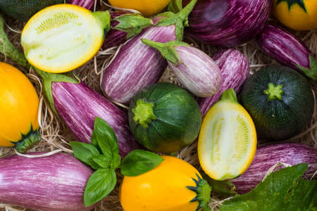 Fresh colorful organic vegetables background or wallpaper - round courgette, small eggplants, tomatoes, diet concept, Italian and French food, healthy food.の写真素材