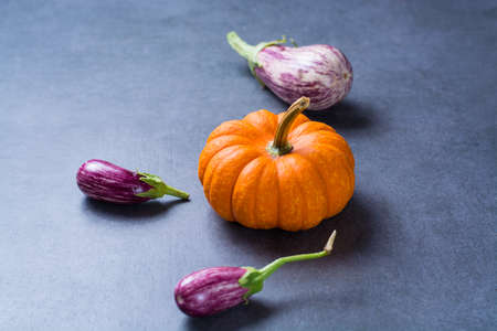 Fresh organic vegetables - round, small eggplants, pumpkin, diet concept, Italian and French food, healthy food.の写真素材