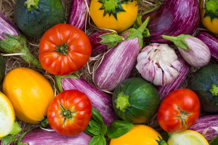 Fresh colorful organic vegetables background or wallpaper - round courgette, small eggplants, tomatoes, diet concept, Italian and French food, healthy food.の写真素材