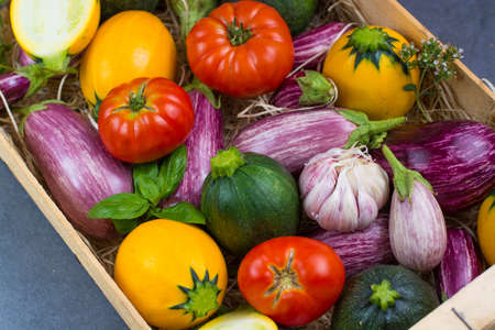 Fresh colorful organic vegetables - round courgette, small eggplants, tomatoes, diet concept, Italian and French food, healthy food.の写真素材