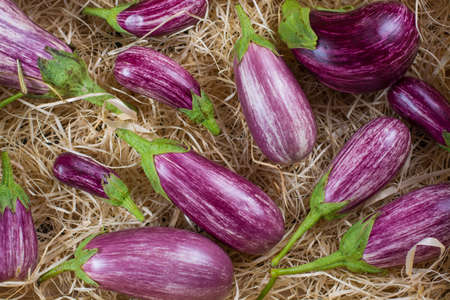 Fresh colorful organic vegetables background or wallpaper - eggplants, diet concept, Italian and French food, healthy food.の写真素材