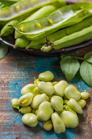 Healthy fresh legumes, new harvest on broad lima white big beansの写真素材