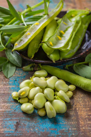Healthy fresh legumes, new harvest on broad lima white big beansの写真素材
