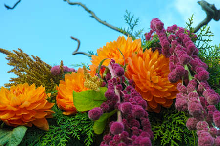 Beautiful bouquet with orange dahlias, decoration from the garden, blue skyの写真素材