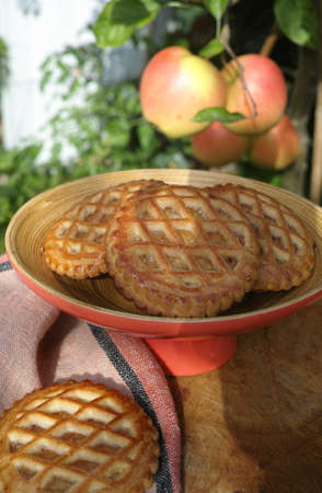 Traditional Dutch autumn apple filled cookies server in the garden under apple tree with big ripe apples, sunny dayの写真素材