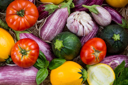 Fresh colorful organic vegetables background or wallpaper - round courgette, small eggplants, tomatoes, diet concept, Italian and French food, healthy food.の写真素材