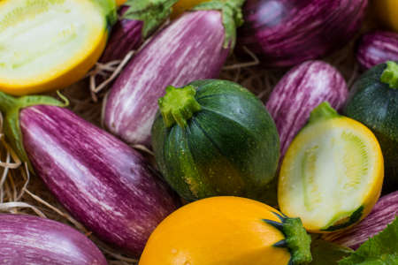Fresh colorful organic vegetables background or wallpaper - round courgette, small eggplants, tomatoes, diet concept, Italian and French food, healthy food.の写真素材