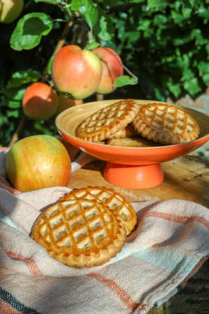Traditional Dutch autumn apple filled cookies server in the garden under apple tree with big ripe apples, sunny dayの写真素材