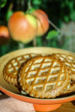 Traditional Dutch autumn apple filled cookies server in the garden under apple tree with big ripe apples, sunny dayの写真素材