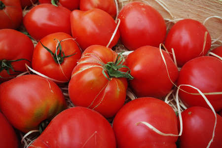 Ancient Provencal french ripe farm tomatoes on the street marketの写真素材