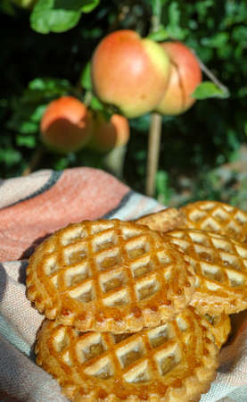 Traditional Dutch autumn apple filled cookies server in the garden under apple tree with big ripe apples, sunny dayの写真素材