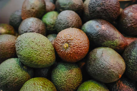 Many green and brown ripe organic adocados close upの写真素材