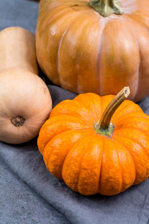Variaty of edible pumpkings  - tasty autumn food, ready for cooking and decoration. Halloween decoration.の写真素材