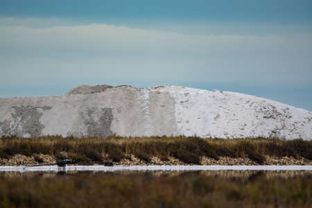 French natural Canargue sea salt production plant, white sea saltの写真素材