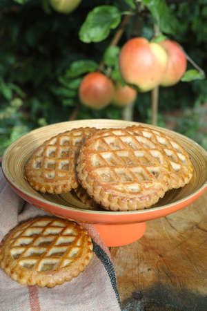 Traditional Dutch autumn apple filled cookies server in the garden under apple tree with big ripe apples, sunny dayの写真素材