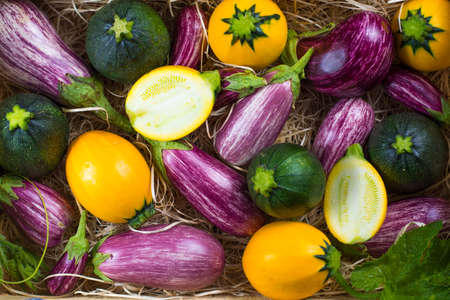 Fresh colorful organic vegetables background or wallpaper - round courgette, small eggplants, tomatoes, diet concept, Italian and French food, healthy food.の写真素材