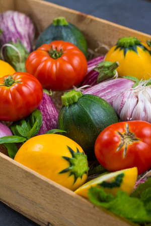 Fresh colorful organic vegetables - round courgette, small eggplants, tomatoes, diet concept, Italian and French food, healthy food.の写真素材