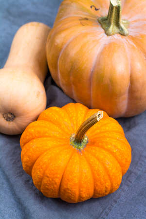Variaty of edible pumpkings  - tasty autumn food, ready for cooking and decoration. Halloween decoration.の写真素材