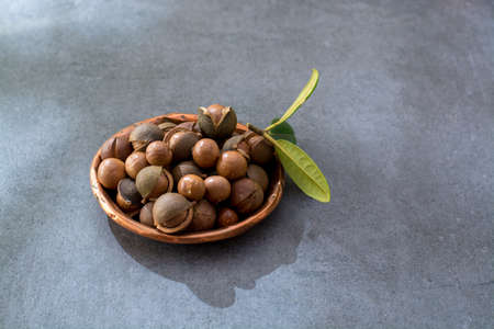 Australian macadamia nuts, unpeeld fresh harvest close upの写真素材