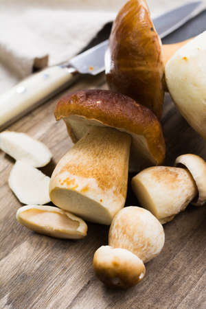 Boletus edulis, cepe, porcini mushrooms washed on gray concrete background, tasty food from forest, autumn menu, ready to cookの写真素材