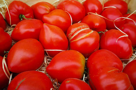Ancient Provencal french ripe farm tomatoes on the street marketの写真素材