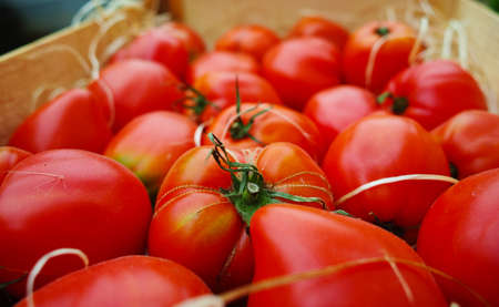Ancient Provencal french ripe farm tomatoes on the street marketの写真素材