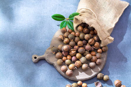 Australian macadamia nuts, unpeeld fresh harvest close upの写真素材