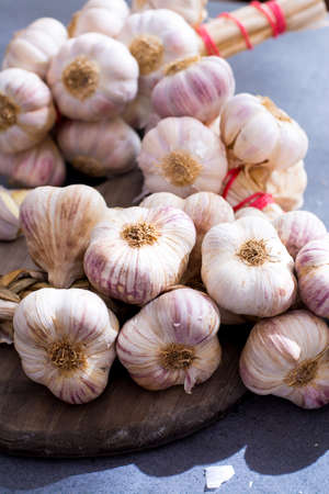 New harvest french big pink and violet garlic braid from Tarn on gray backgroundの写真素材