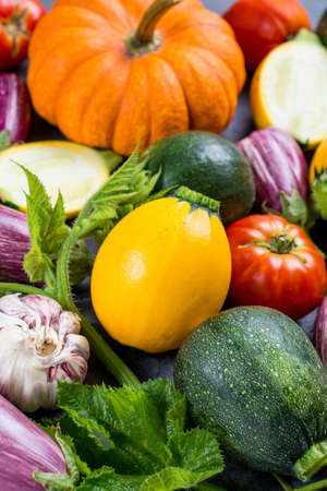 Fresh colorful organic vegetables - round courgette, pumpkin,  small eggplants, tomatoes, diet concept, Italian and French food, healthy food.の写真素材