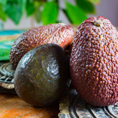 Healthy vegetarian food â€“ green ripe avocado, new harvest, with leaves on stone plates with...