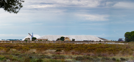 French natural Canargue sea salt production plant, white sea saltのeditorial素材