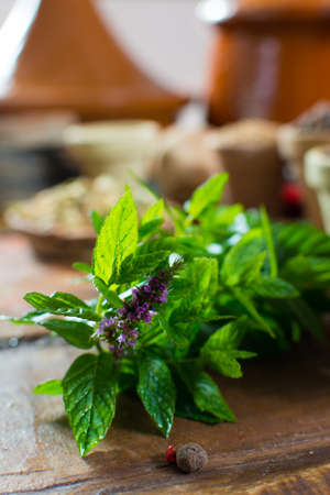 fresh peppermint of spearmint leaves, plant, ready to use, good for herbal tea, close up