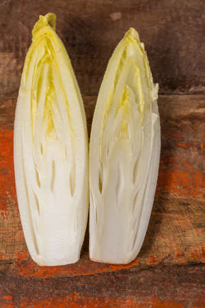 Fresh organic chicory  endive salad ready to eat, traditional food in Belgium and the Netherlandsの写真素材