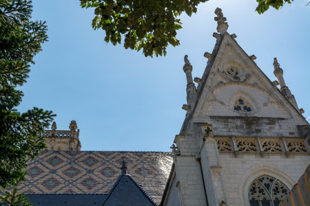 Royal abbey Brou in Bourg-en-Bresse, France, view from outsideのeditorial素材