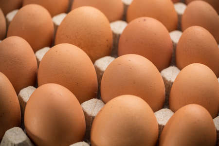 Brown cage-free chicken eggs in carton, close up