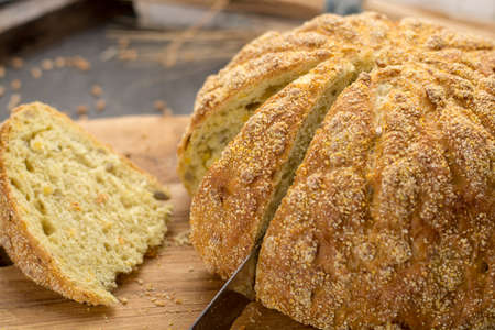 Homemade baked round bread with organic corn and wheat rustic style