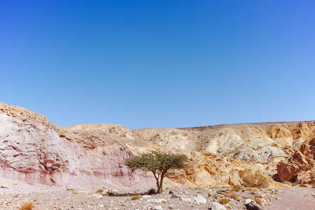 Beautiful geological formation in desert, colorful sandstone canyon walking route, Red Canyon in Negev desert, Israelの写真素材