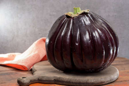 Israeli Huge Baladi Big ripe whole raw violet eggplant on table close upの写真素材