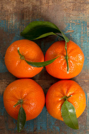 Ripe colorful tropical citrus fruits, mandarins or clementines close up on blue wooden table top...